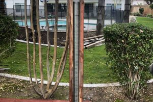 wood fencing with pool
